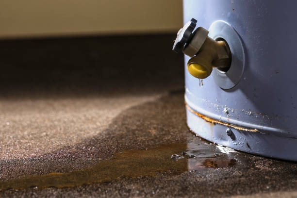 Carpet water damage restoration in Fulshear, TX