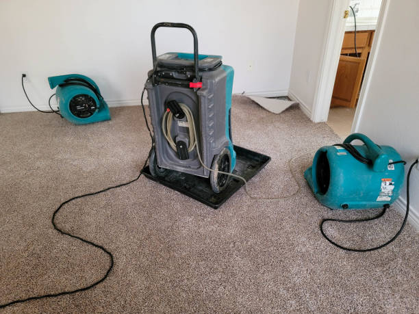 Best Carpet water damage restoration  in Fulshear, TX