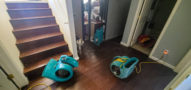 Best Ceiling water damage repair  in Fulshear, TX
