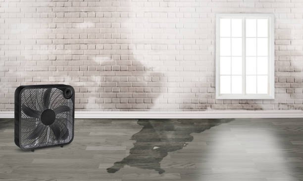 Best Water damage contractors near me  in Fulshear, TX