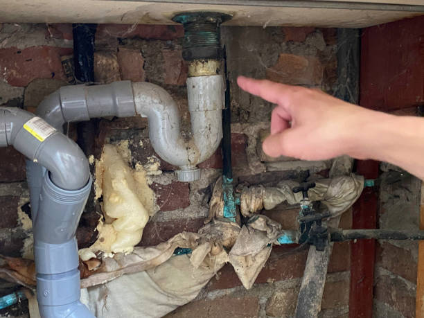 Best Water damage restoration company  in Fulshear, TX