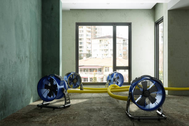 Best Mold removal after water damage  in Fulshear, TX